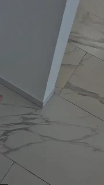 Après remise en état 5 - Rénovation complète d'un appartement après incendie à Nice