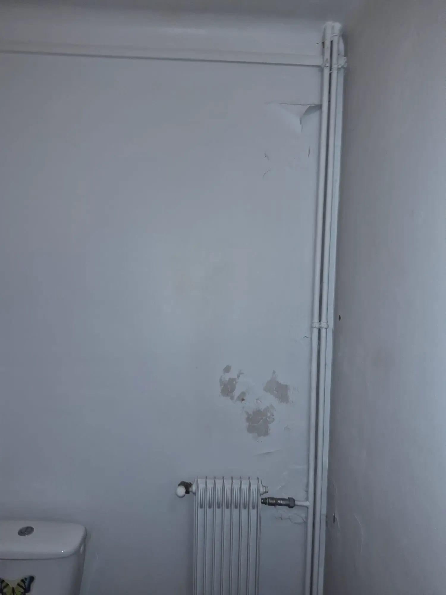 Avant intervention 3 - Rénovation de sols et embellissement intérieur