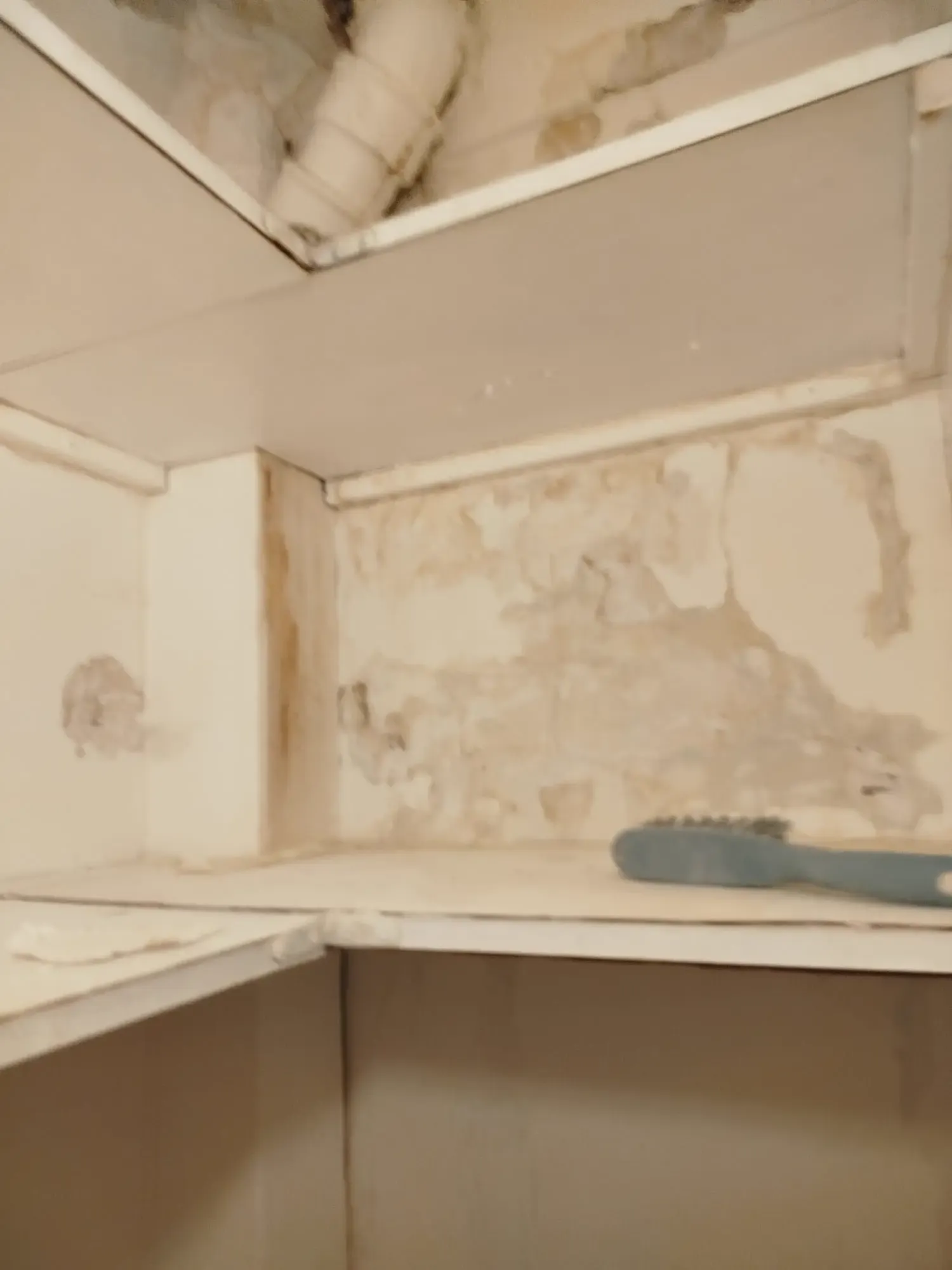 Avant intervention 5 - Rénovation suite à un sinistre
